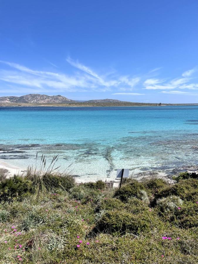 Casa Vacanze Stintino Vista Mare エクステリア 写真